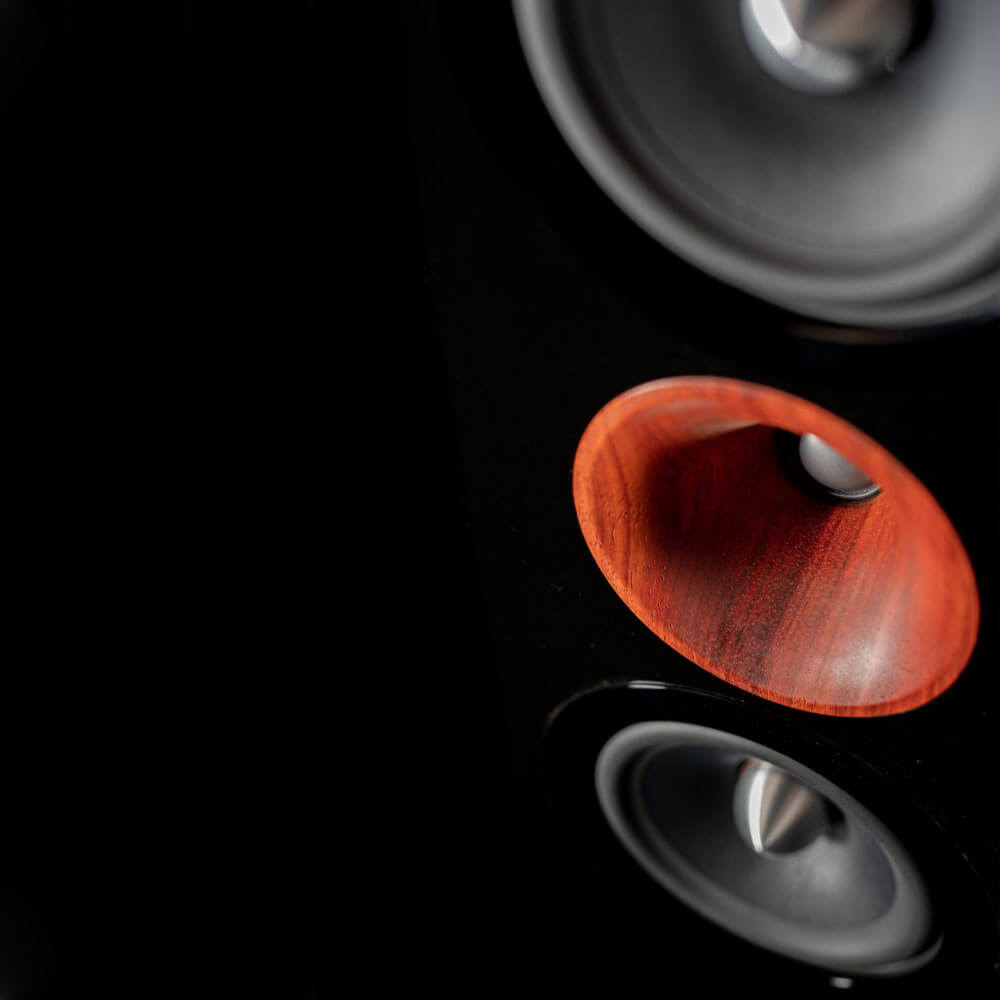 Cessaro Horn Acoustics Gaia I 2-Way D’Appolito Design Mounted Loudspeaker