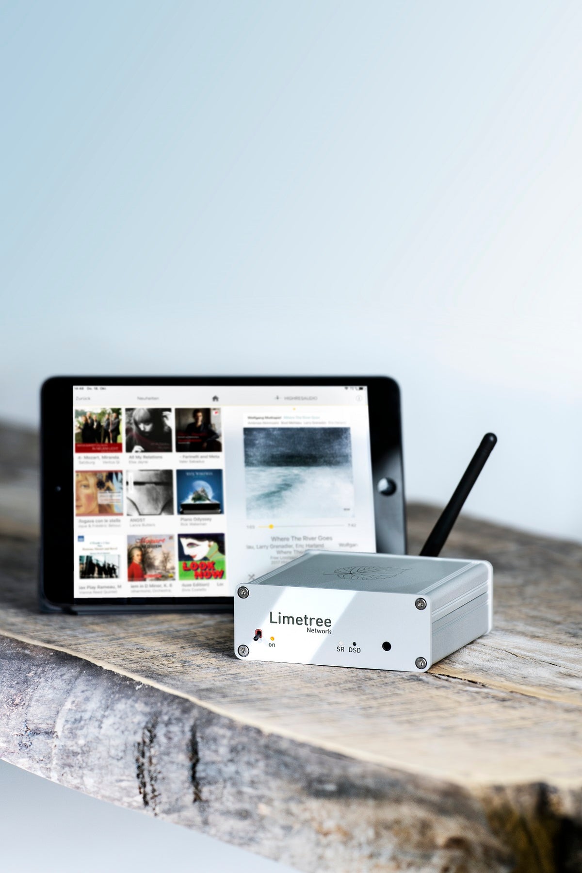 Lindemann Limetree Network II - Streamer / Music Server with built in DAC (Analog Outputs)
