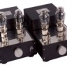 Audion Silver Night Anniversary 300B PSE Mono-block Hard wired