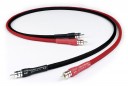 Chord Company Chorus II 2 RCA to 2 RCA 1m
