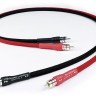 Chord Company Chorus II 2 RCA to 2 RCA 1m