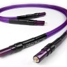 Chord Company Indigo Plus 2 RCA to 2 RCA 1m