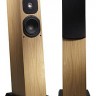 Neat Motive 2 Speaker Pair