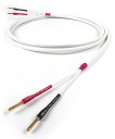 Chord Company Odyssey 2 SPK Cable 1m Non-Terminated