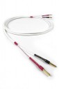 Chord Company Rumour 2 SPK Cable Factory Terminated