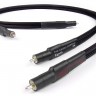 Chord Company Signet 2 RCA to 2 RCA 1m