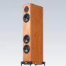 Vienna Acoustics Beethoven Baby Grand 3-Way Floor Speakers