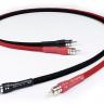 Chord Company Chorus II 2 RCA to 2 RCA 1m