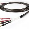 Chord Company Epic Super Twin SPK Cable 1m Non-Terminated