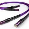 Chord Company Indigo Plus 2 RCA to 2 RCA 1m
