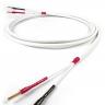 Chord Company Odyssey 2 SPK Cable Factory Terminated