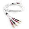Chord Company Odyssey 4 SPK Cable 1m Non-Terminated
