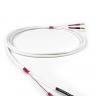 Chord Company Rumour 2 SPK Cable Factory Terminated
