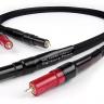 Chord Company Signature Plus 2 RCA to 2 RCA 1m