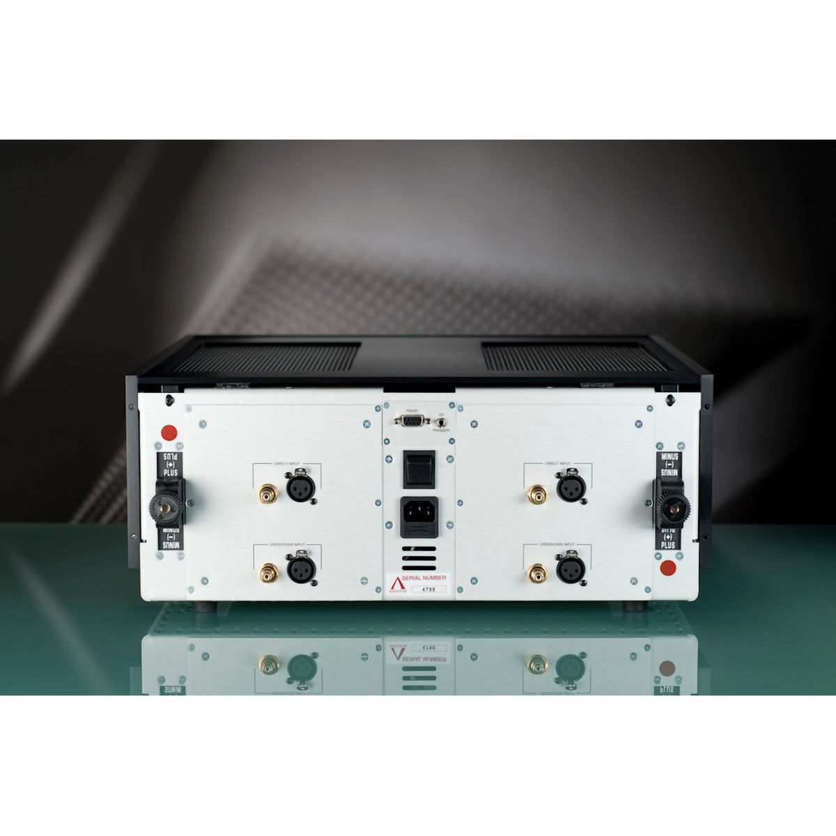 Aesthetix Atlas Saturn Series Mono Block Power Amplifier