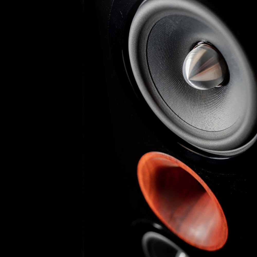 Cessaro Horn Acoustics Gaia I  2-Way D’Appolito Design Mounted Loudspeaker