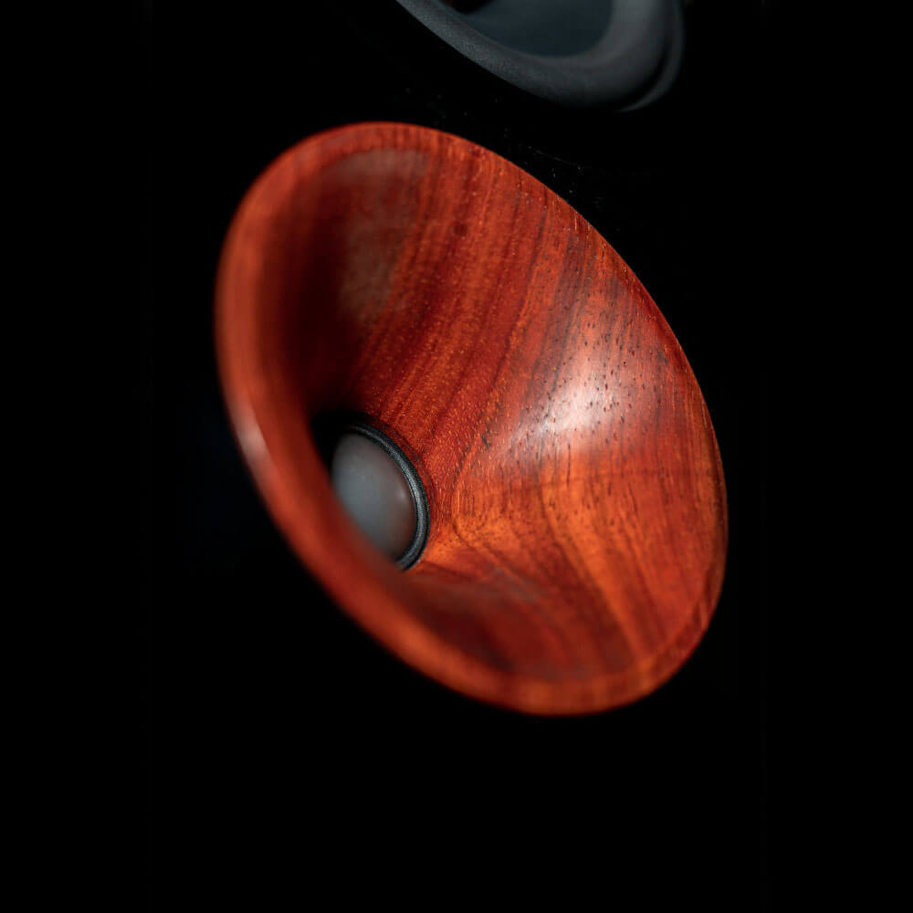 Cessaro Horn Acoustics Gaia I  2-Way D’Appolito Design Mounted Loudspeaker