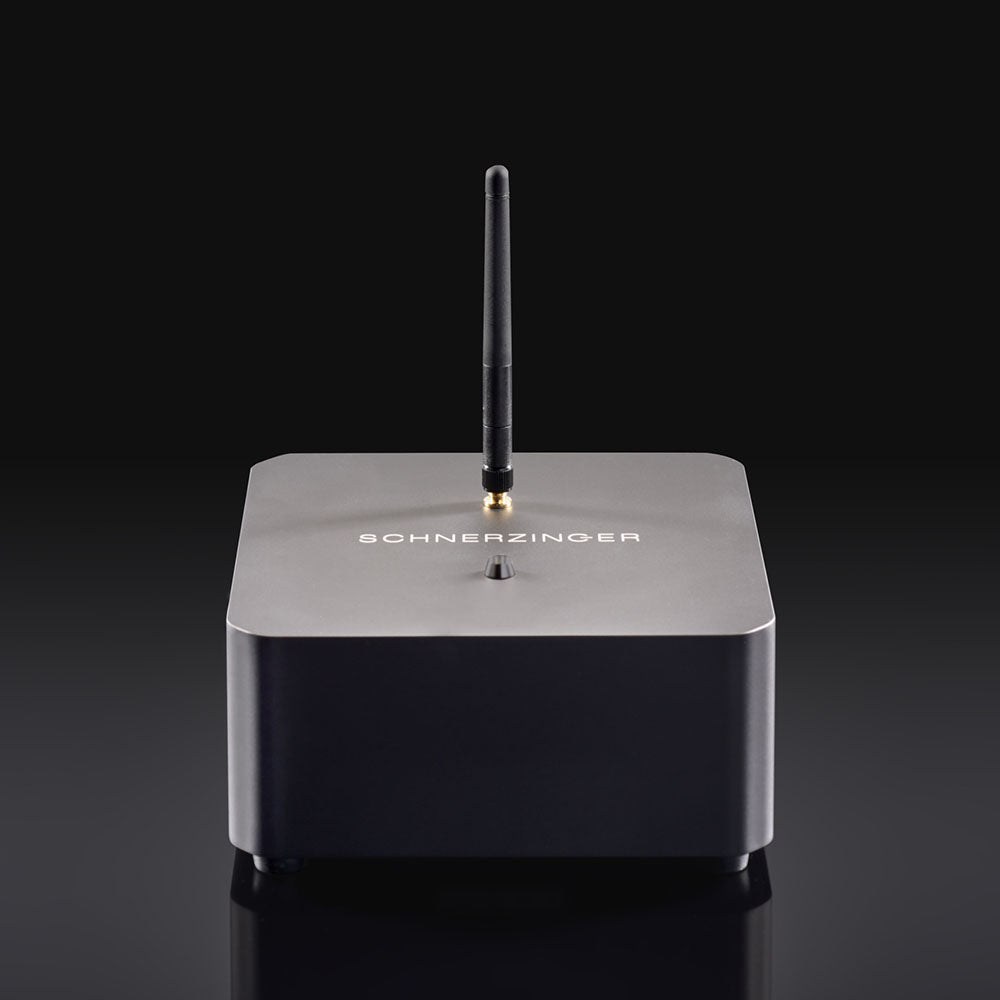 Schnerzinger LAN Protector