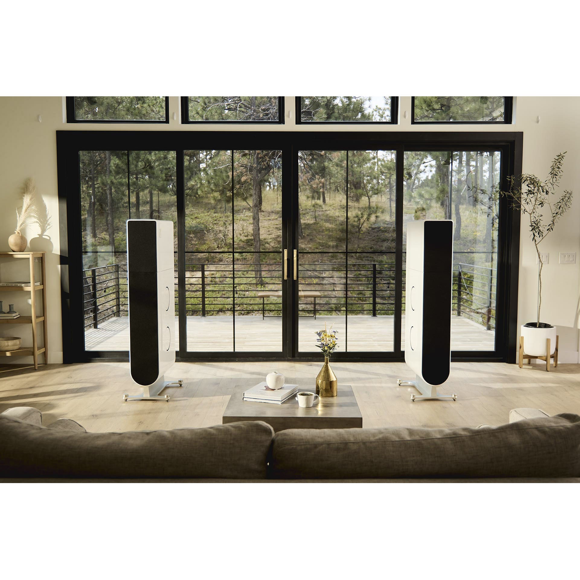 PS Audio Aspen FR30 Floorstanding Speakers (pair)