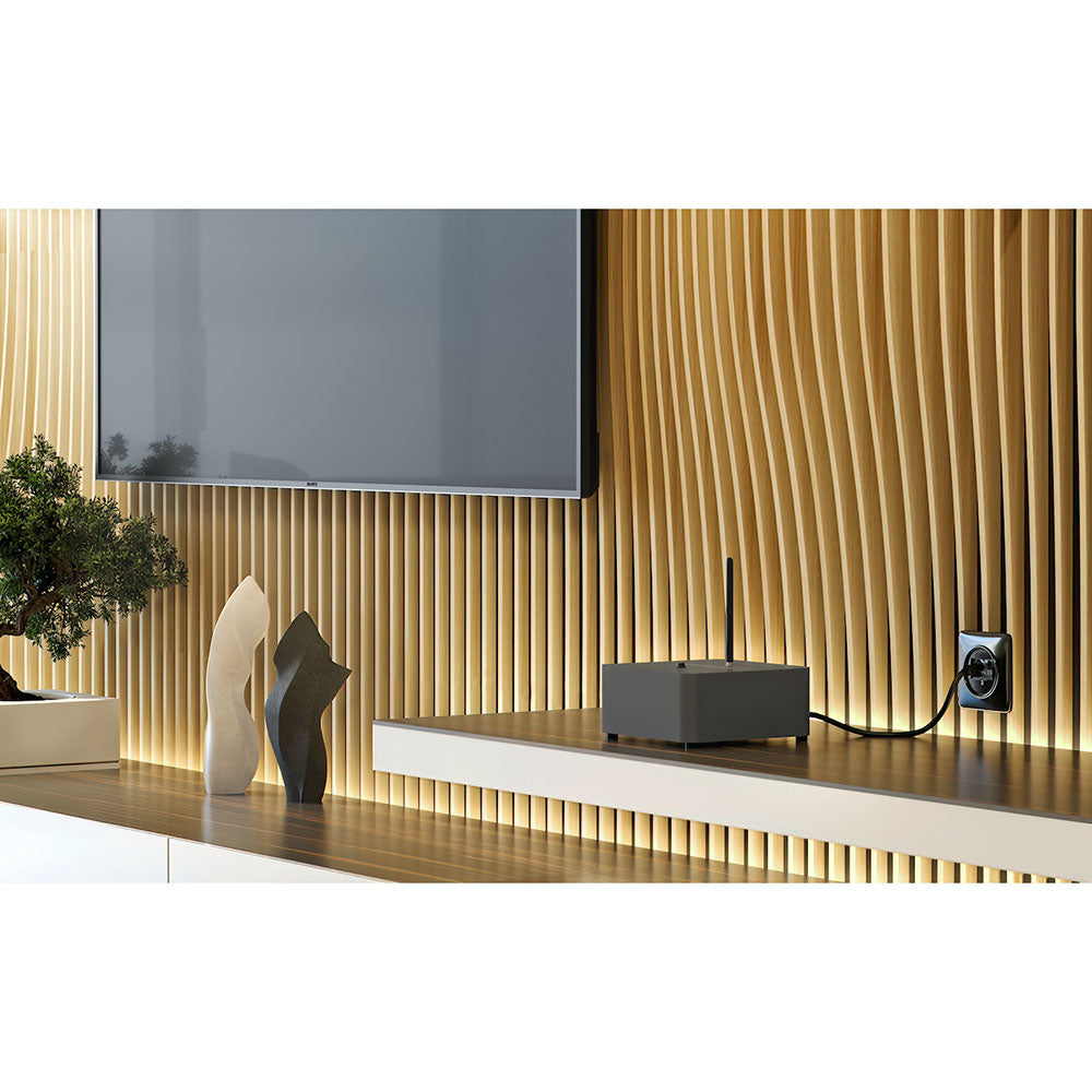 Schnerzinger LAN Protector