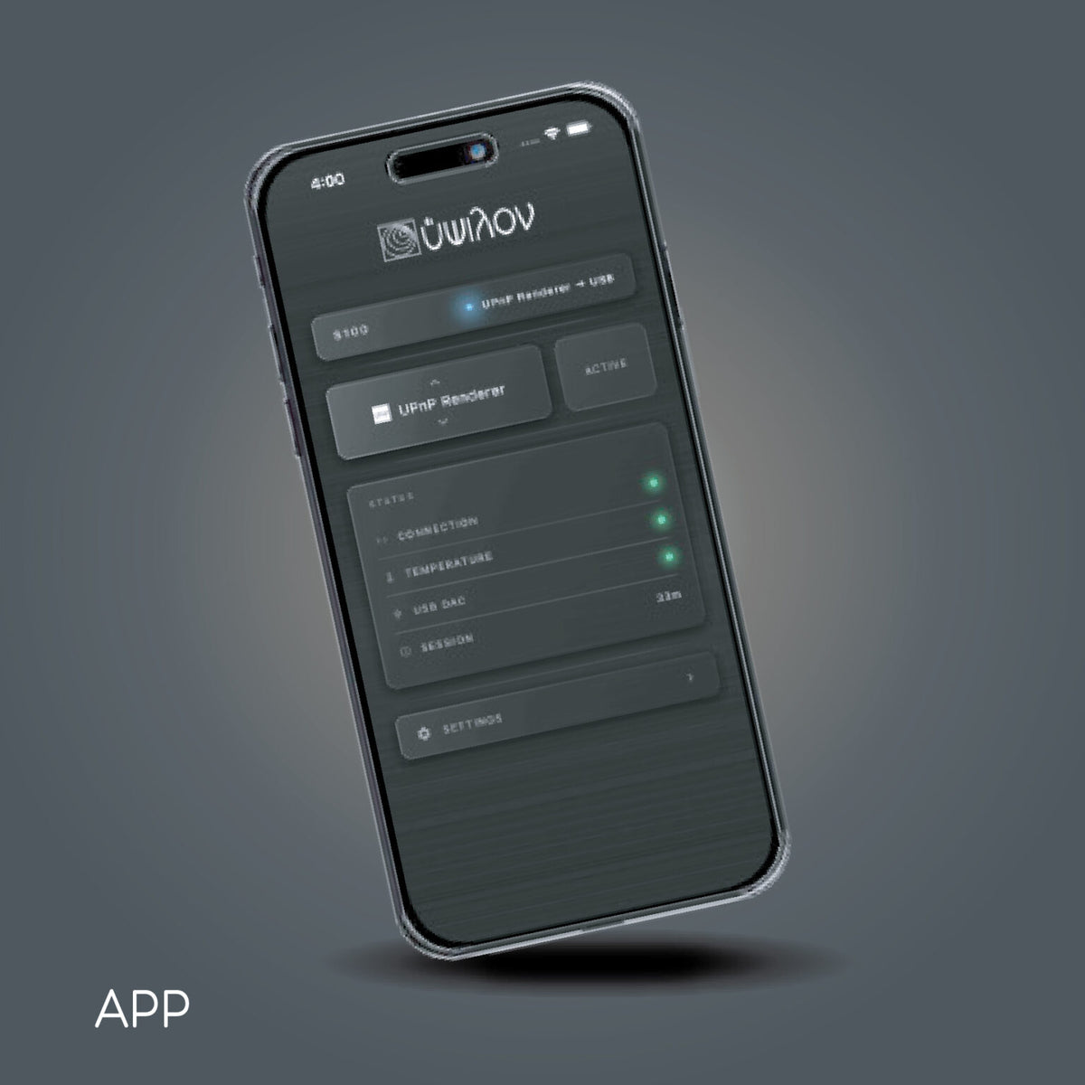 Ypsilon S100 Music Streamer